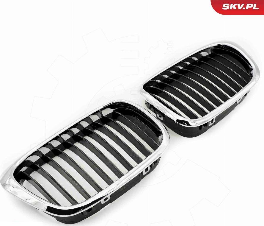 Esen SKV 66SKV160 - Griglia radiatore www.autoricambi360.it
