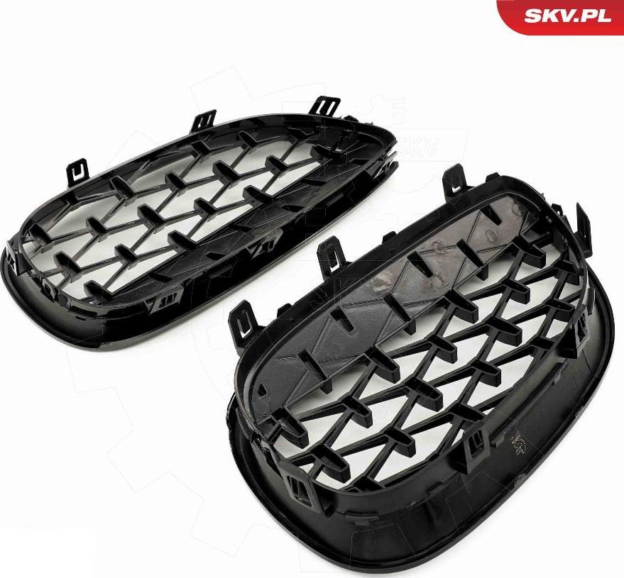 Esen SKV 66SKV175 - Griglia radiatore www.autoricambi360.it