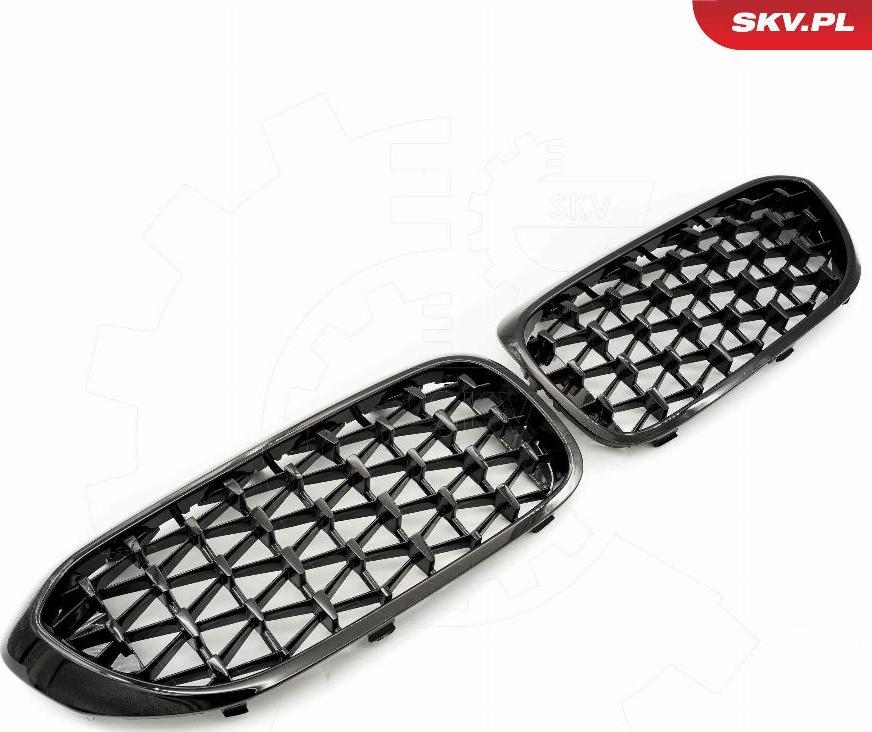 Esen SKV 66SKV200 - Griglia radiatore www.autoricambi360.it