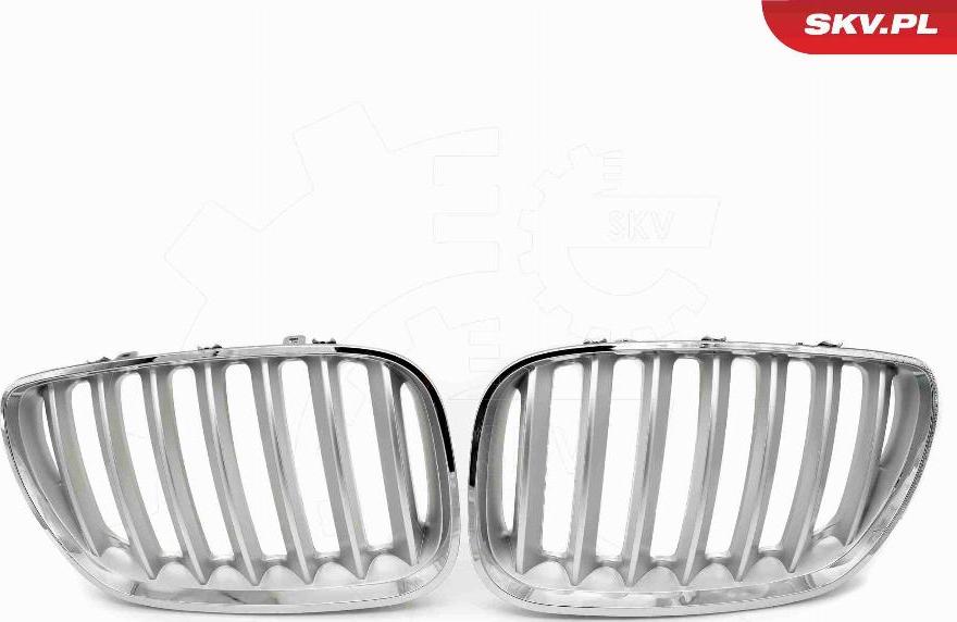 Esen SKV 66SKV279 - Griglia radiatore www.autoricambi360.it