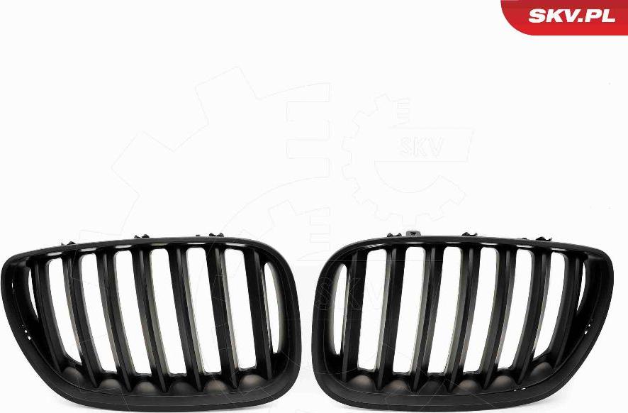Esen SKV 66SKV278 - Griglia radiatore www.autoricambi360.it