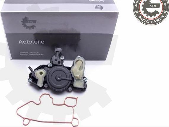 Esen SKV 31SKV175 - Radiatore olio, Olio motore www.autoricambi360.it