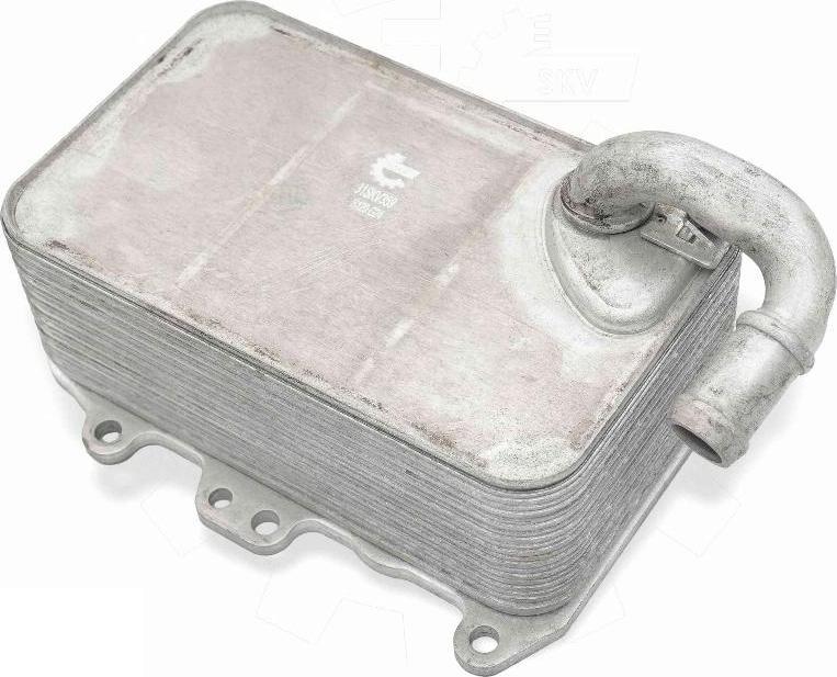 Esen SKV 31SKV359 - Radiatore olio, Olio motore www.autoricambi360.it