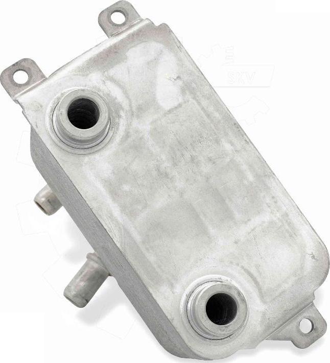 Esen SKV 31SKV319 - Radiatore olio, Cambio automatico www.autoricambi360.it