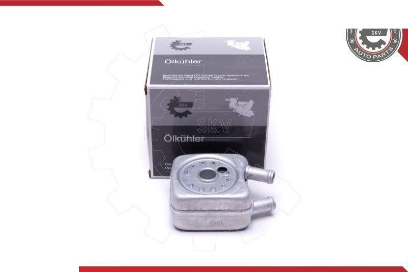 Esen SKV 31SKV204 - Radiatore olio, Olio motore www.autoricambi360.it