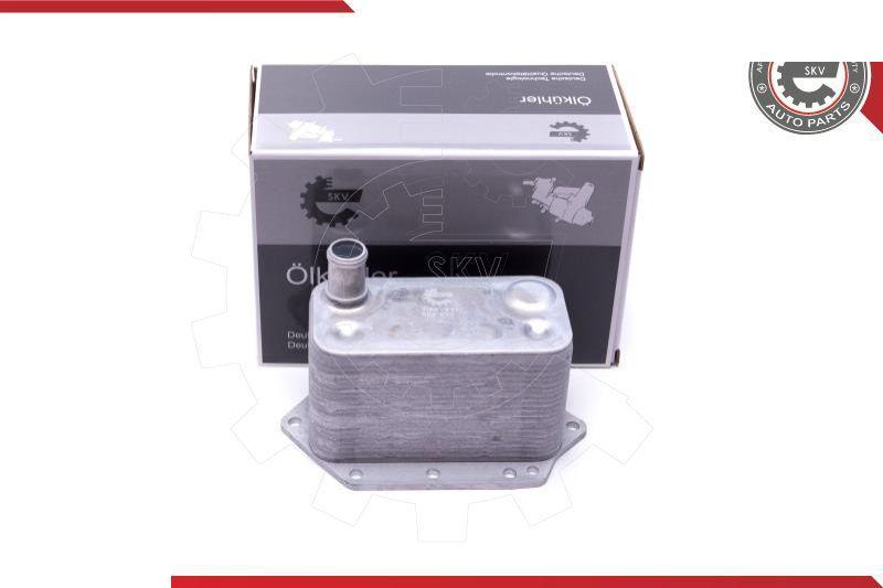 Esen SKV 31SKV221 - Radiatore olio, Olio motore www.autoricambi360.it