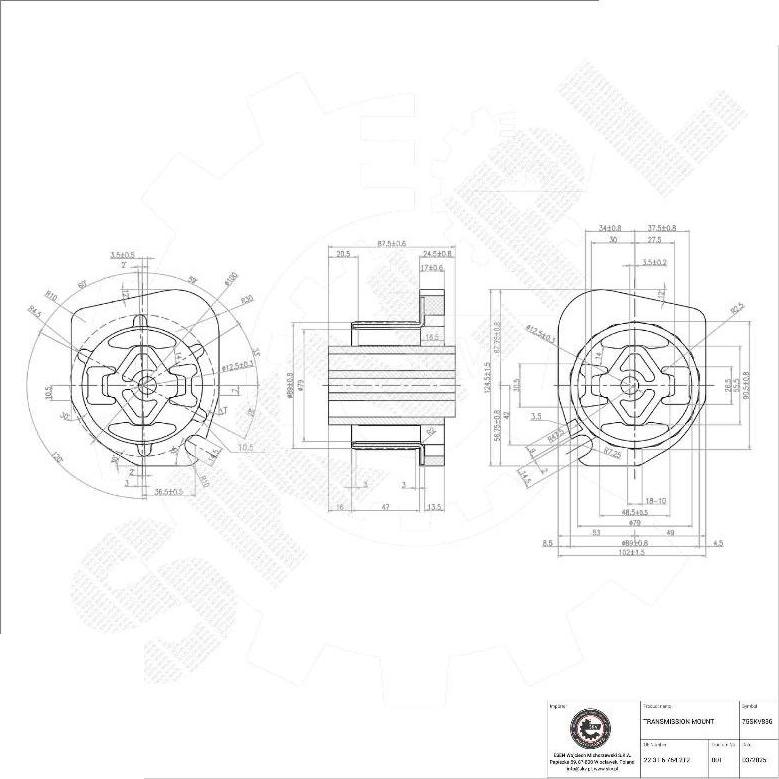 Esen SKV 75SKV836 - Supporto, Cambio automatico www.autoricambi360.it