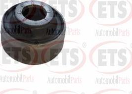 ETS 22.SB.031 - Supporto, Braccio oscillante www.autoricambi360.it