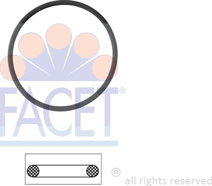 FACET 7.9550 - Guarnizione, Termostato www.autoricambi360.it