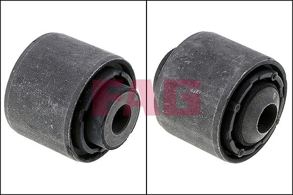 FAG 829 0596 10 - Supporto, Braccio oscillante www.autoricambi360.it