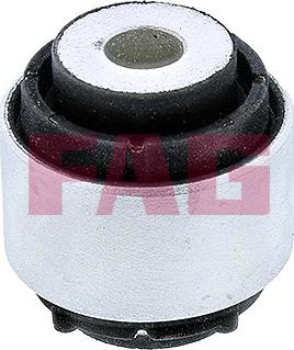 FAG 829 0576 10 - Supporto, Braccio oscillante www.autoricambi360.it