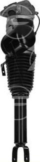 FARE 31372 - Gamba elastica con ammortiz. pneumatico www.autoricambi360.it