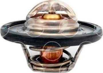 FARE T006 - Termostato, Refrigerante www.autoricambi360.it