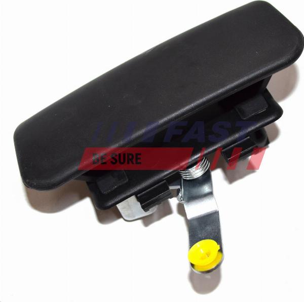 Fast FT94565 - Maniglia apriporta www.autoricambi360.it