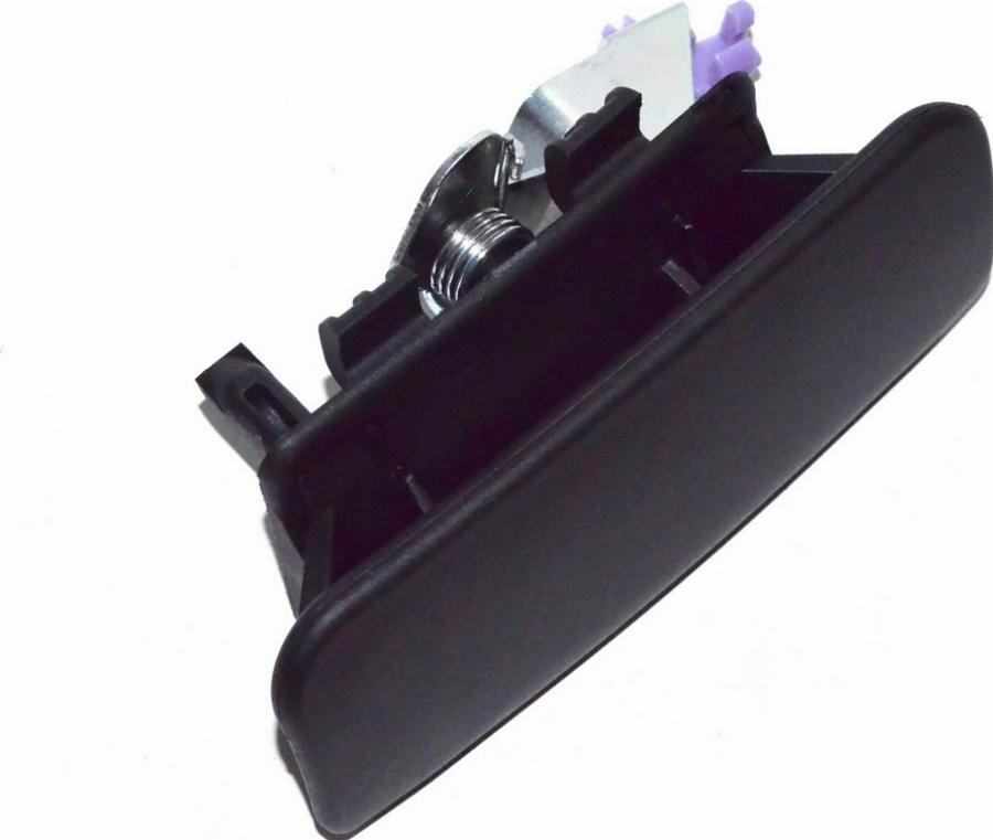 Fast FT94574 - Maniglia apriporta www.autoricambi360.it