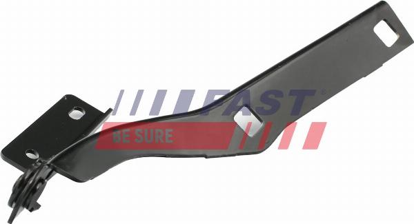 Fast FT94003 - Cerniera, Cofano motore www.autoricambi360.it