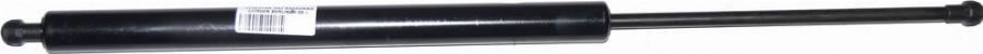 Fast FT94828 - Ammortizzatore pneumatico,Lunotto posteriore www.autoricambi360.it