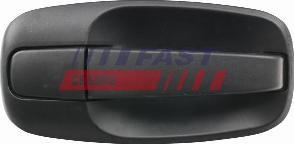 Fast FT94306 - Maniglia apriporta www.autoricambi360.it