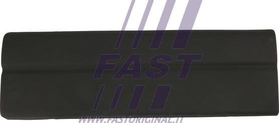 Fast FT90894 - Modanatura decorativa / protettiva, Portiera www.autoricambi360.it