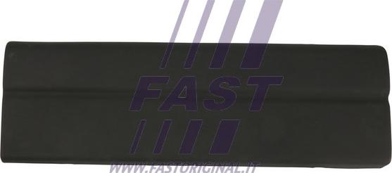 Fast FT90893 - Modanatura decorativa / protettiva, Portiera www.autoricambi360.it