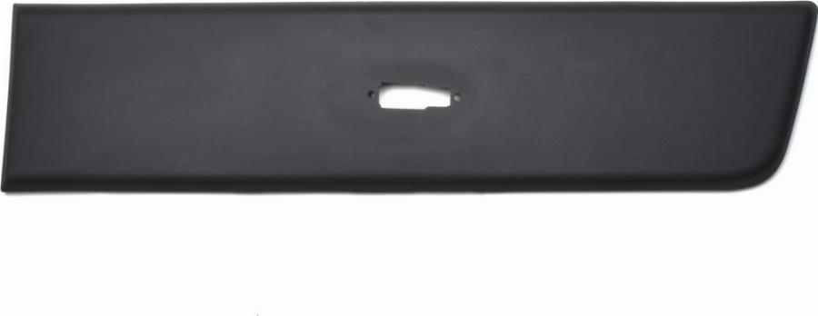 Fast FT90771 - Modanatura decorativa / protettiva, Fiancata www.autoricambi360.it
