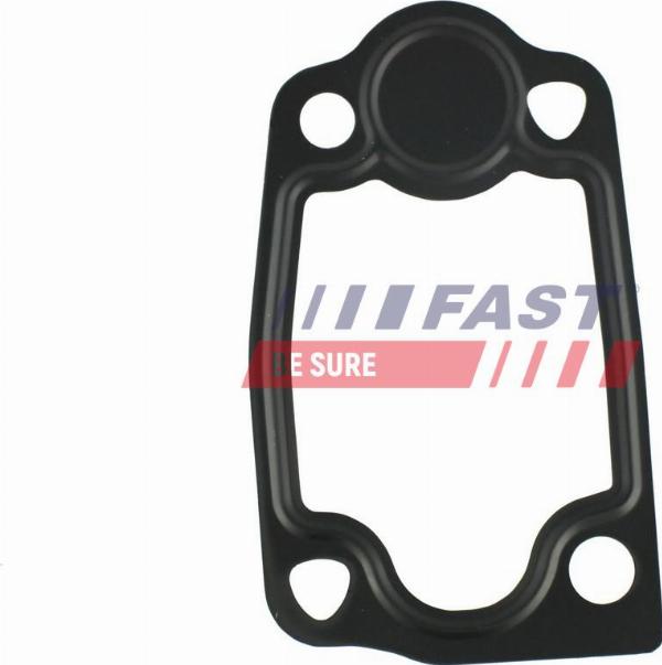 Fast FT49903 - Guarnizione, Termostato www.autoricambi360.it