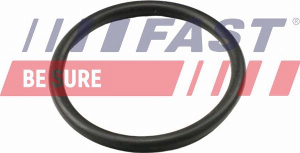 Fast FT49917 - Guarnizione, Termostato www.autoricambi360.it
