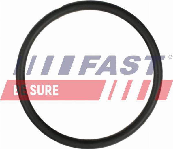 Fast FT49931 - Guarnizione, Condotto d. refrigerante www.autoricambi360.it