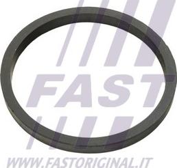 Fast FT49924 - Guarnizione, Radiatore olio www.autoricambi360.it