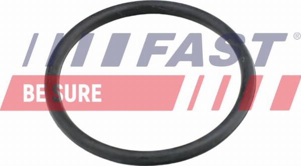 Fast FT49920 - Guarnizione, Condotto d. refrigerante www.autoricambi360.it