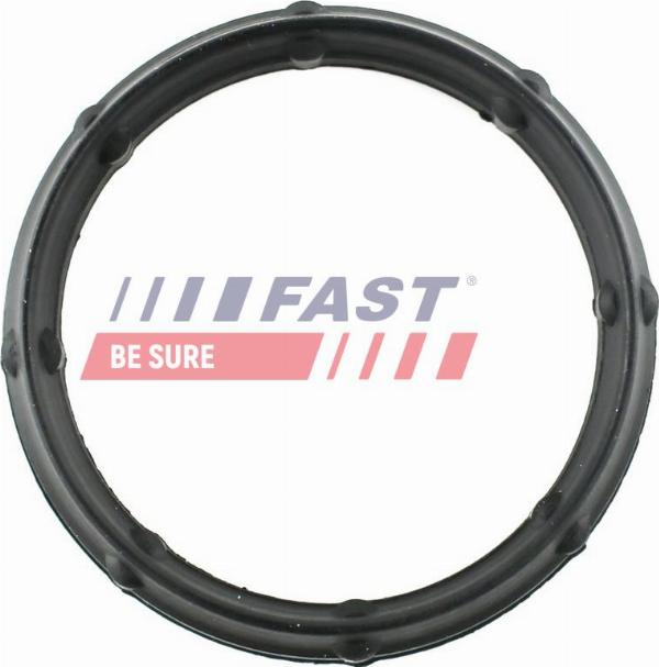 Fast FT49424 - Guarnizione, Collettore aspirazione www.autoricambi360.it