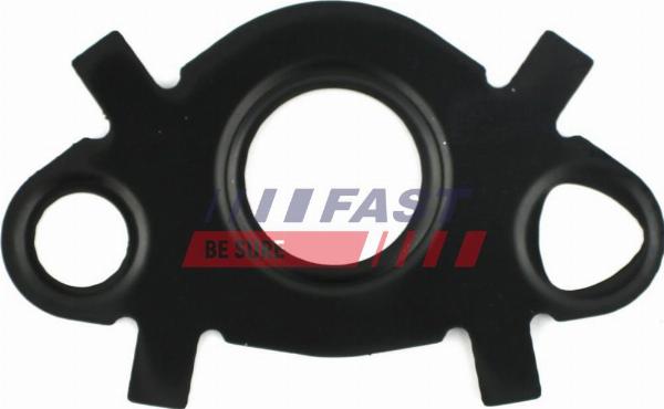 Fast FT49547 - Guarnizione, Radiatore olio www.autoricambi360.it