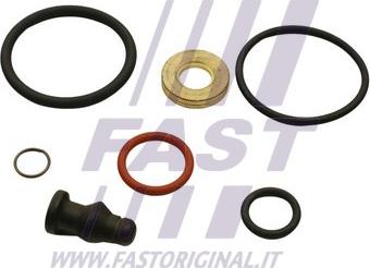 Fast FT49655 - Kit riparazione, Gruppo pompa-iniettori www.autoricambi360.it