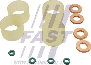 Fast FT49652 - Kit guarnizioni, Iniettore www.autoricambi360.it