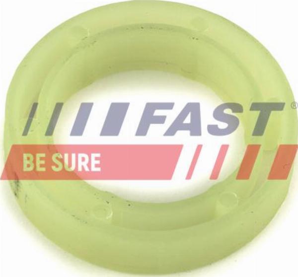 Fast FT49844 - Guarnizione, Portapolverizzatore www.autoricambi360.it