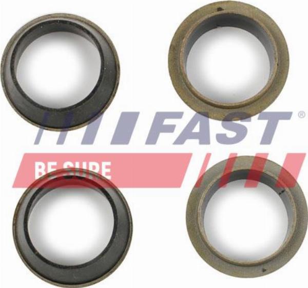 Fast FT49843 - Kit guarnizioni, Iniettore www.autoricambi360.it