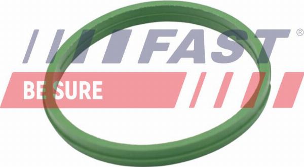 Fast FT49855 - Anello di tenuta, vite di scarico olio www.autoricambi360.it