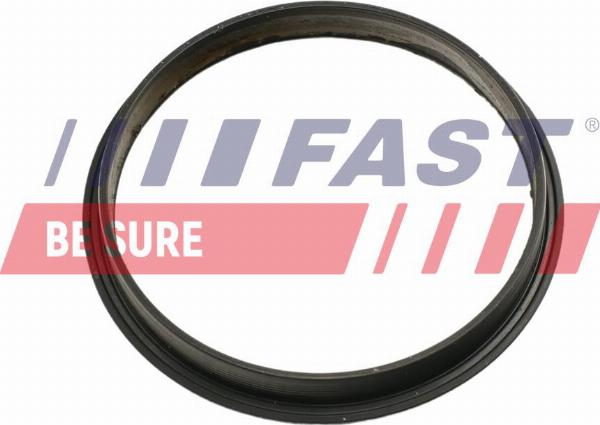Fast FT49853 - Guarnizione, Pompa depressione www.autoricambi360.it
