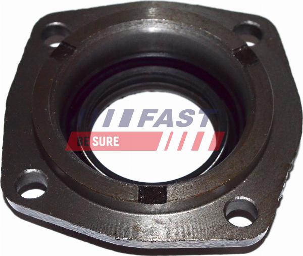 Fast FT49838 - Anello tenuta, Differenziale www.autoricambi360.it
