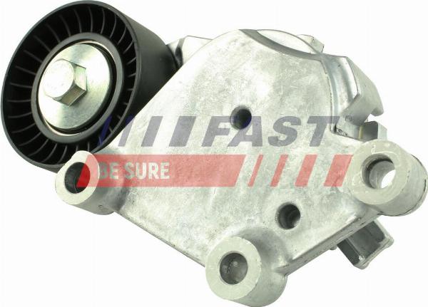 Fast FT44619 - Galoppino / Guidacinghia, Cinghia Poly-V www.autoricambi360.it