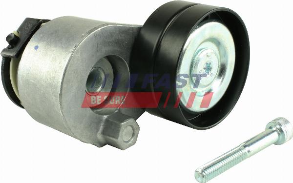 Fast FT44616 - Galoppino / Guidacinghia, Cinghia Poly-V www.autoricambi360.it