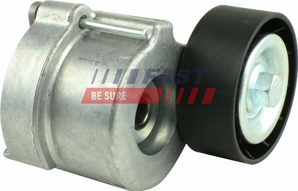 Fast FT44633 - Galoppino / Guidacinghia, Cinghia Poly-V www.autoricambi360.it
