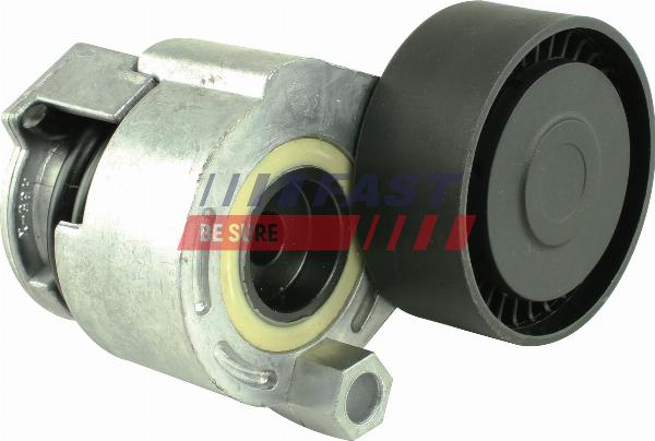 Fast FT44629 - Galoppino / Guidacinghia, Cinghia Poly-V www.autoricambi360.it
