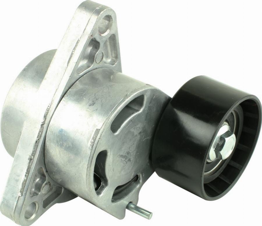 Fast FT44620 - Galoppino / Guidacinghia, Cinghia Poly-V www.autoricambi360.it