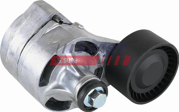 Fast FT44623 - Galoppino / Guidacinghia, Cinghia Poly-V www.autoricambi360.it