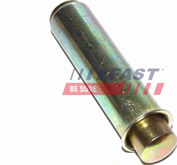 Fast FT44081 - Rullo tenditore, Cinghia dentata www.autoricambi360.it