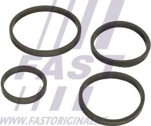 Fast FT48949 - Guarnizione, Radiatore olio www.autoricambi360.it