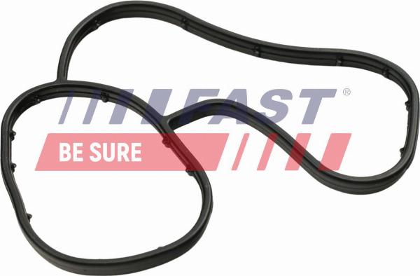 Fast FT48941 - Guarnizione, Radiatore olio www.autoricambi360.it