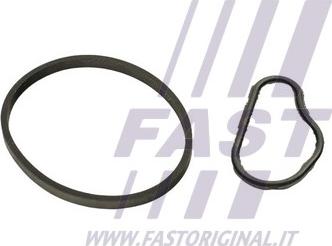 Fast FT48943 - Guarnizione, Pompa depressione www.autoricambi360.it