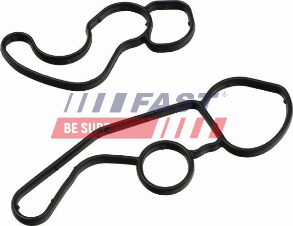 Fast FT48961 - Guarnizione, Radiatore olio www.autoricambi360.it